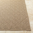 Sandra SDR-2317 Beige / Medium Brown Rug