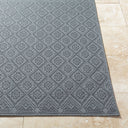 Sandra SDR-2318 Charcoal / Gray Rug