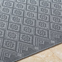 Sandra SDR-2318 Charcoal / Gray Rug