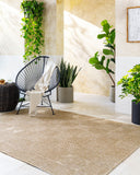 Sandra SDR-2319 Beige / Medium Brown Rug