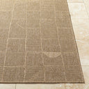Sandra SDR-2319 Beige / Medium Brown Rug