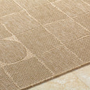 Sandra SDR-2319 Beige / Medium Brown Rug