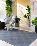 Sandra SDR-2320 Charcoal / Gray Rug