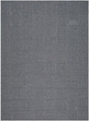 Sandra SDR-2320 Charcoal / Gray Rug