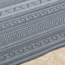 Sandra SDR-2321 Charcoal / Gray Rug