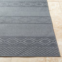 Sandra SDR-2322 Charcoal / Gray Rug