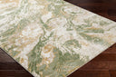San Francisco SFO-2316 Ivory / Olive Rug