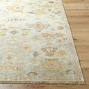 Shiraz SHZ-2301 Charcoal / Light Brown Rug