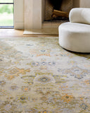 Shiraz SHZ-2301 Charcoal / Light Brown Rug