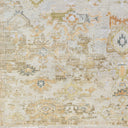 Shiraz SHZ-2301 Charcoal / Light Brown Rug