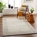 Skylar SLR-2301 Beige / Medium Gray Rug