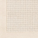 Siena SNA-2305 Cream / Light Gray Rug