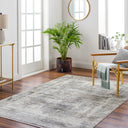 Solar SOR-2317 Cream / Gray Rug