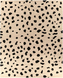Stella STLA-2443 Beige / Black Rug