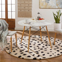 Stella STLA-2443 Beige / Black Rug