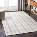 Tartan TAR-2302 Gray / Light Gray Rug