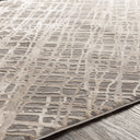 Tibetan TBT-2316 Beige / Charcoal Rug
