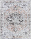 Tahmis THI-2702 Beige / Charcoal Rug