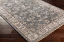 Theodora THO-3001 Dark Brown / Light Gray Rug
