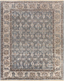 Theodora THO-3001 Dark Brown / Light Gray Rug