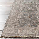 Theodora THO-3001 Dark Brown / Light Gray Rug