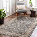 Theodora THO-3001 Dark Brown / Light Gray Rug