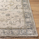 Theodora THO-3003 Dark Brown / Gray Rug