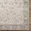 Theodora THO-3003 Dark Brown / Gray Rug