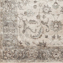 Theodora THO-3003 Dark Brown / Gray Rug