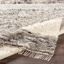 Tulum TMU-2302 Beige / Dark Brown Rug