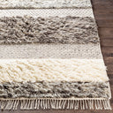 Tulum TMU-2302 Beige / Dark Brown Rug