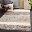 Tulum TMU-2302 Beige / Dark Brown Rug