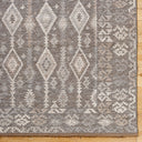 Tempe TPE-2301 Rug