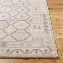 Tempe TPE-2302 Rug