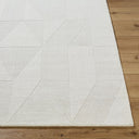Taraash TRH-2307 Rug