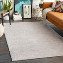 Torino TRN-2301 Gray / Off-White Rug
