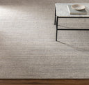 Torino TRN-2301 Gray / Off-White Rug