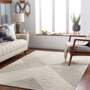 Tunus TUN-2308 Light Brown / Light Gray Rug