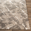 Tuscany TUS-2300 Dark Brown / Light Beige Rug