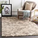 Tuscany TUS-2300 Dark Brown / Light Beige Rug
