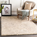 Tuscany TUS-2304 Aqua / Dark Brown Rug