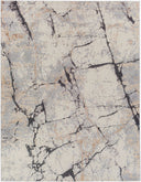 Tuscany TUS-2314 Charcoal / Gray Rug