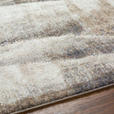 Tuscany TUS-2345 Beige / Charcoal Rug