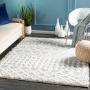 Urban Shag USG-2310 Light Gray / White Rug