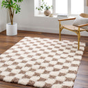Urban Shag USG-2348 Brown / Cream Rug