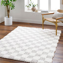 Urban Shag USG-2349 Cream / Light Gray Rug