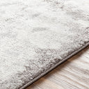 Venice VNE-2305 Black / Ivory Rug