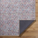 Vinny VNY-2319 Aqua / Brown Rug