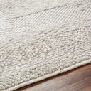 Vesta VST-2301 Light Gray Rug