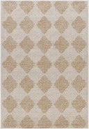 Kaya VVKA-2300 Ivory / Tan Rug